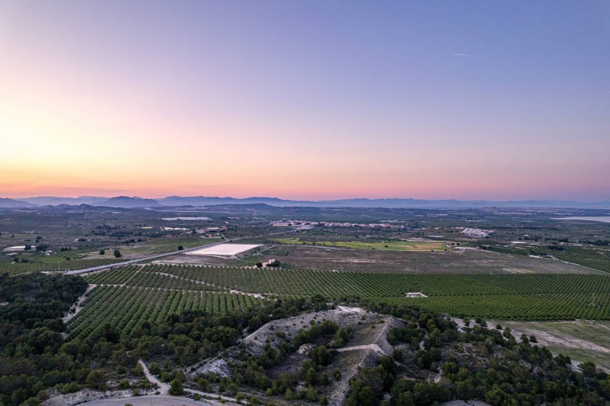 BELLAVISTA